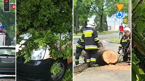 Sytuacja w Zabrzu po niedzielnych nawałnicach