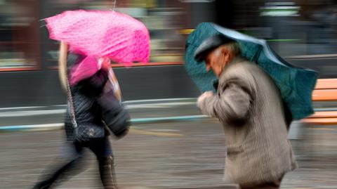 Specjalna prognoza pogody "Meteo News"