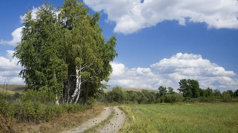 Prognoza pogody dla alergików