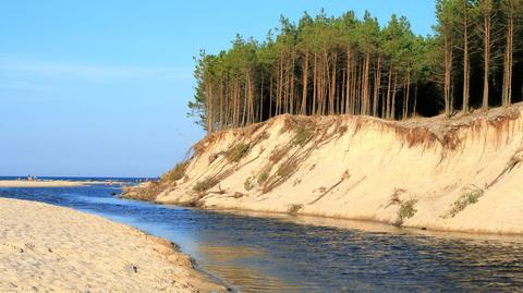 Prognoza pogody TVN Meteo na dzień