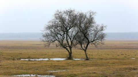 Specjalna prognoza pogody "Meteo News"