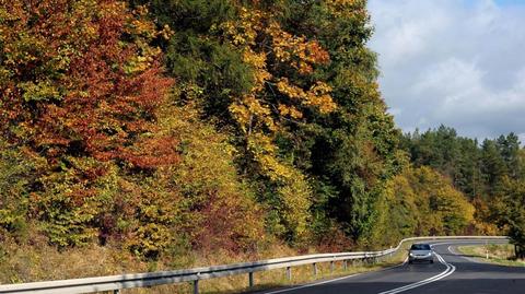 Warunki drogowe na dzień 09.10