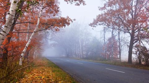 Prognoza pogody dla kierowców na niedzielę 15.10