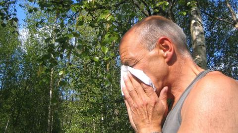 Prognoza TVN Meteo dla alergików