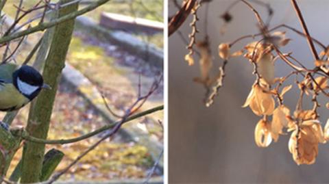 Początek stycznia na Waszych "jesiennych" zdjęciach (Kontakt Meteo)