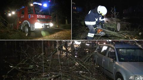 Paweł Frątczak o skutkach porywistego wiatru