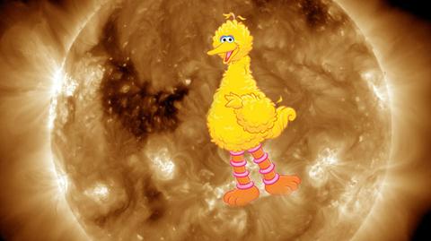 Wielki Ptak widnieje na Słońcu (NASA, SDO)