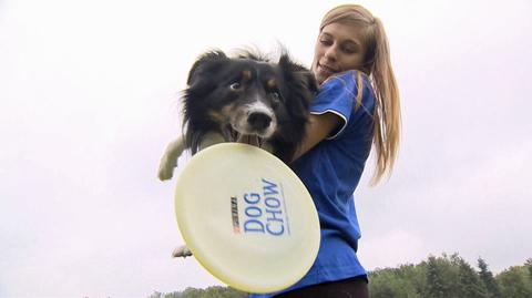 Latające psy czyli zawody Dog Chow Disc Cup