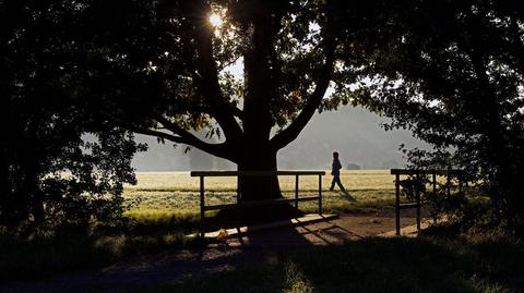 Prognoza pogody TVN Meteo na dzień, 1.10