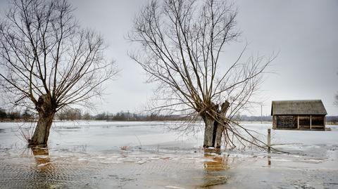 Narew wylewa, podtopione miejscowości (TVN24)