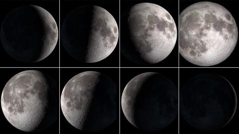 Wszystkie fazy Księżyca w 2013 r. (NASA/Goddard Space Flight Center Scientific Visualization Studio)