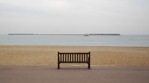 Melodia, która skomponowały... mikroby z Kanału La Manche (Shutterstock, Peter Larsen)