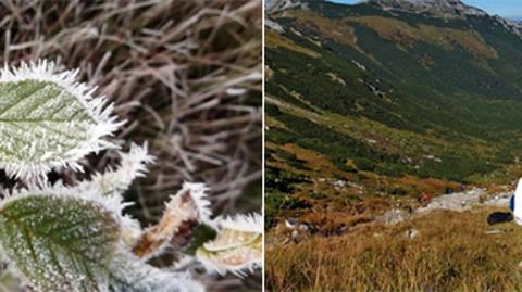 Tatry opanowuje rdzawy pomarańcz, pojawia się szron