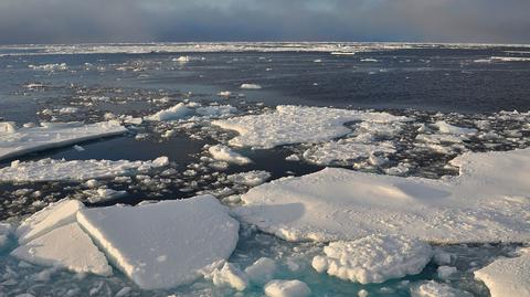 Powierzchnia lodu w Arktyce jest rekordowo mała