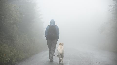 Prognoza pogody na piątek 11.04