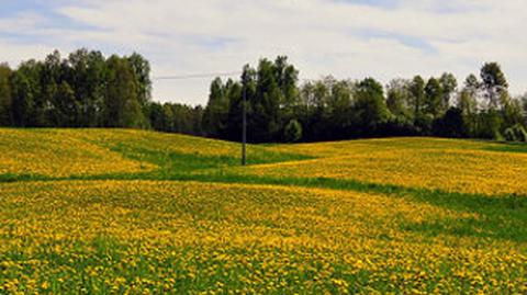 Prognoza pogody na dzień 09.05