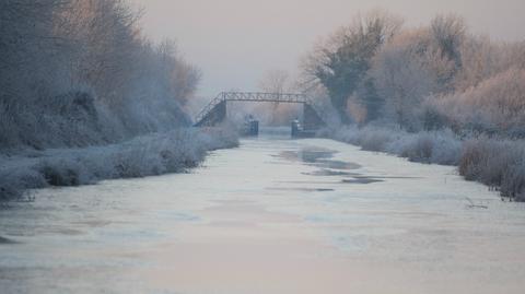 Temperatura w najbliższych dniach (ventusky.com)