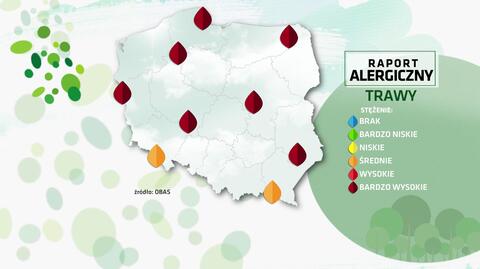 Raport alergiczny 15.06