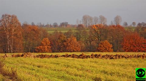 Prognoza pogody TVN Meteo na środę