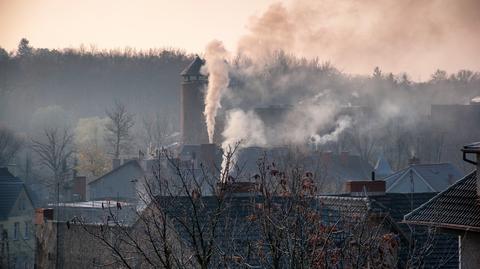 "Jak każdej zimy tak również teraz stężenie smogu w powietrzu rośnie"