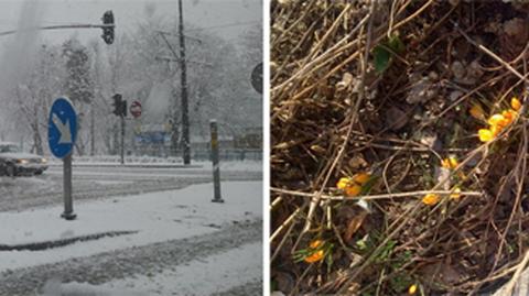 Śnieg wrócił na Mazury (TVN24)