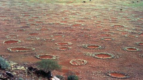 Dziwne dziury na Pustyni Namib