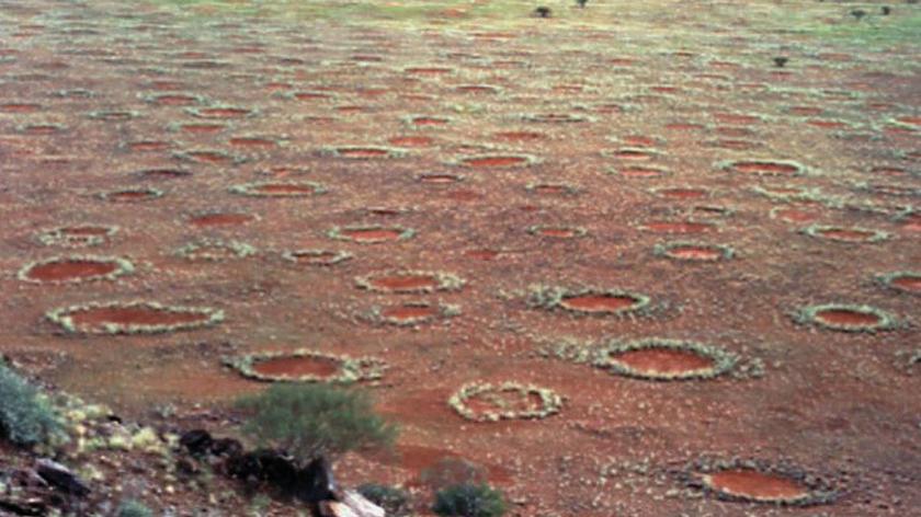 Dziwne dziury na Pustyni Namib