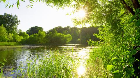 Prognoza pogody na dzień 11.05