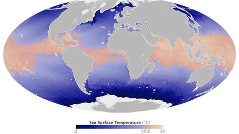 "Ocieplenie klimatu ukryte jest pod powierzchnią oceanu"