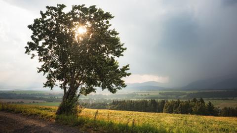 Prognoza pogody na niedzielę 25.05