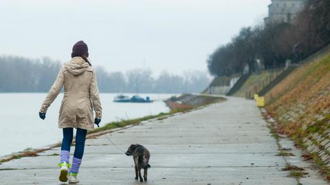 Specjalna prognoza pogody "Meteo News"