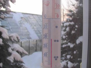 Dziś  29 stycznia w Skołyszynie o 7,30  było -21 stopni mrozu