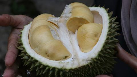 Durian ma bardzo odrzucający zapach