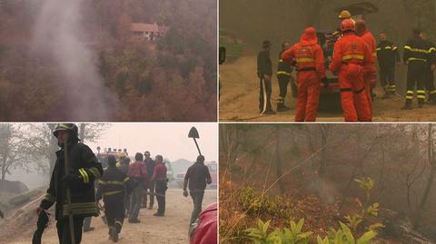 Pożary w pobliżu Turynu, ofiara śmiertelna. "Płomienie sięgały 20 metrów" 