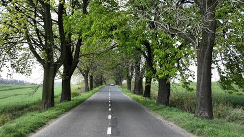 Warunki drogowe w ciągu dnia