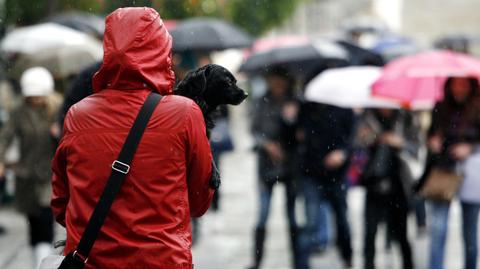 Prognoza pogody TVN Meteo na dzień, 26.12