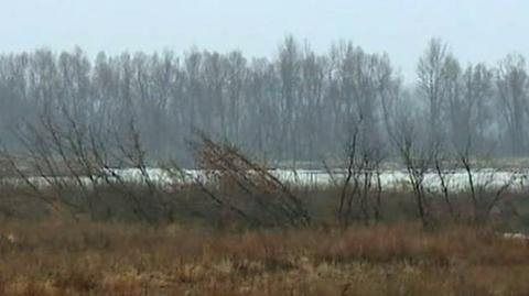 Mieszkańcy Świniar boją się o swój dobytek (TVN24)