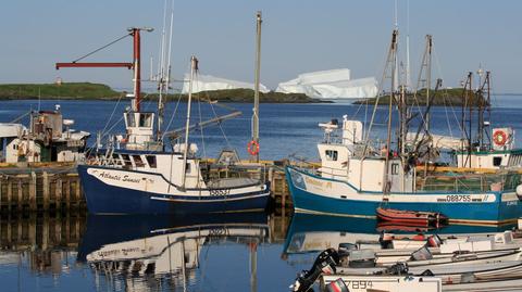 Goose Cove w Nowej Funlandii 