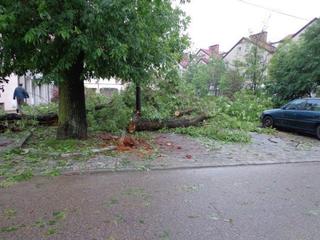 Dziś po 15 przeszła nawałnica z gradem i silnym wiatrem i drzewo został powalony.