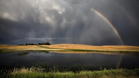 Specjalna prognoza pogody "Meteo News"