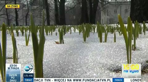 Coraz więcej wiosny w Warszawie (TVN24)