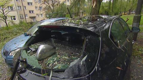 Drzewa upadły na dwa samochody w Poznaniu