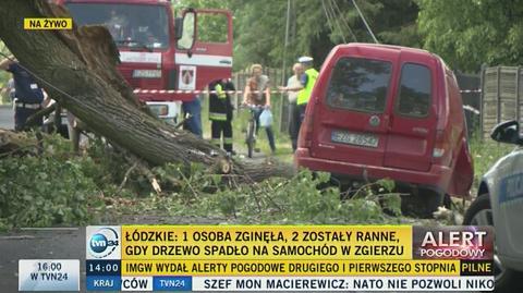 Drzewo runęło na samochód w Zgierzu