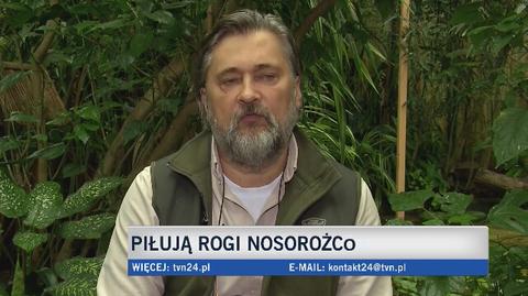 Dyrektor warszawskiego zoo o odcinaniu rogów nosorożcom