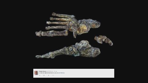 Homo Naledi - nowy gatunek ludzki