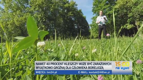 Inwazja kleszczy