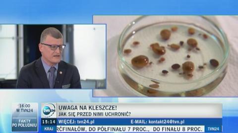 Jak uchronić się przed ukąszeniem kleszcza?