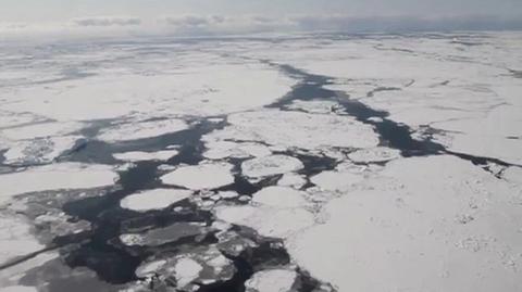 Jak zmienia się pokrywa lodowa Arktyki?