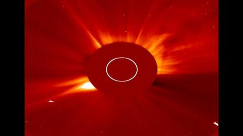 Kometa uderza w Słońce (ESA/NASA)