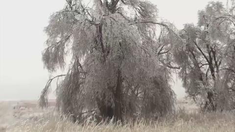 Marznący deszcz w USA (źródło: Reed Timmer / Accuweather.com)